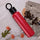 Vacuum Insulated Water Bottle with Holder
