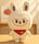 Labubu - Cute Bunny Plush Toy